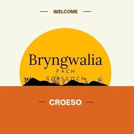 Appartamento Bryngwalia Fach Cribyn Esterno foto